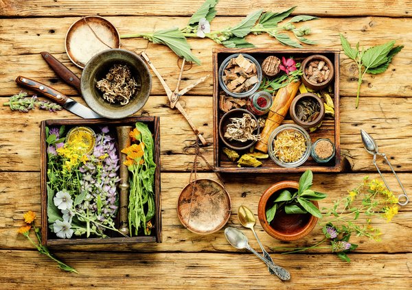 Plante médicinale: comparatif et avis des meilleurs produits dérivés