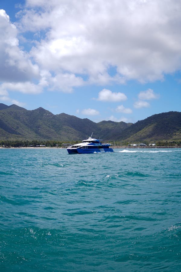 Les meilleurs conseils pour comprendre les prix des croisières msc 2024